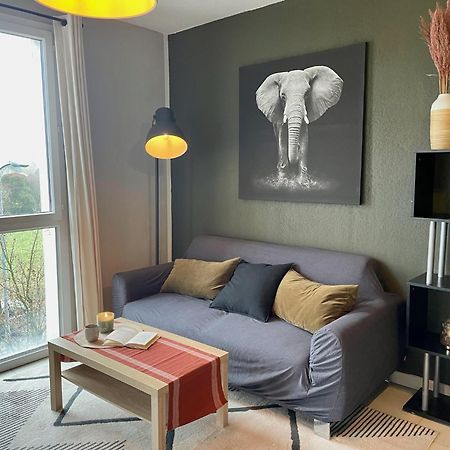 Le Colorado - Appartement Proche Airbus Colomiers Dış mekan fotoğraf