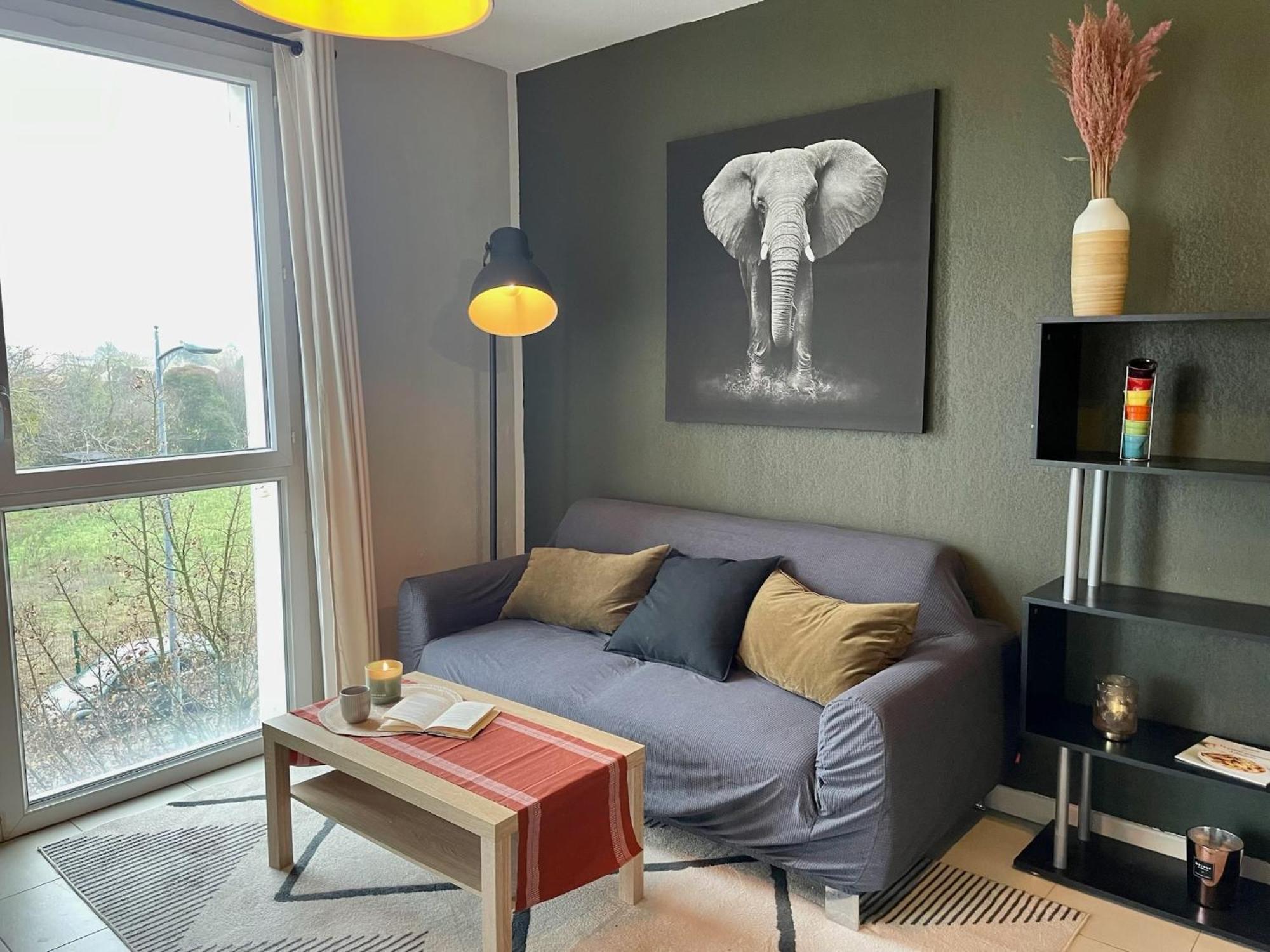 Le Colorado - Appartement Proche Airbus Colomiers Dış mekan fotoğraf