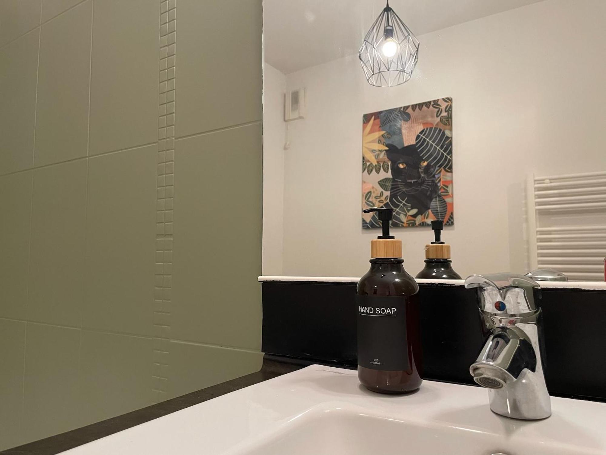 Le Colorado - Appartement Proche Airbus Colomiers Dış mekan fotoğraf